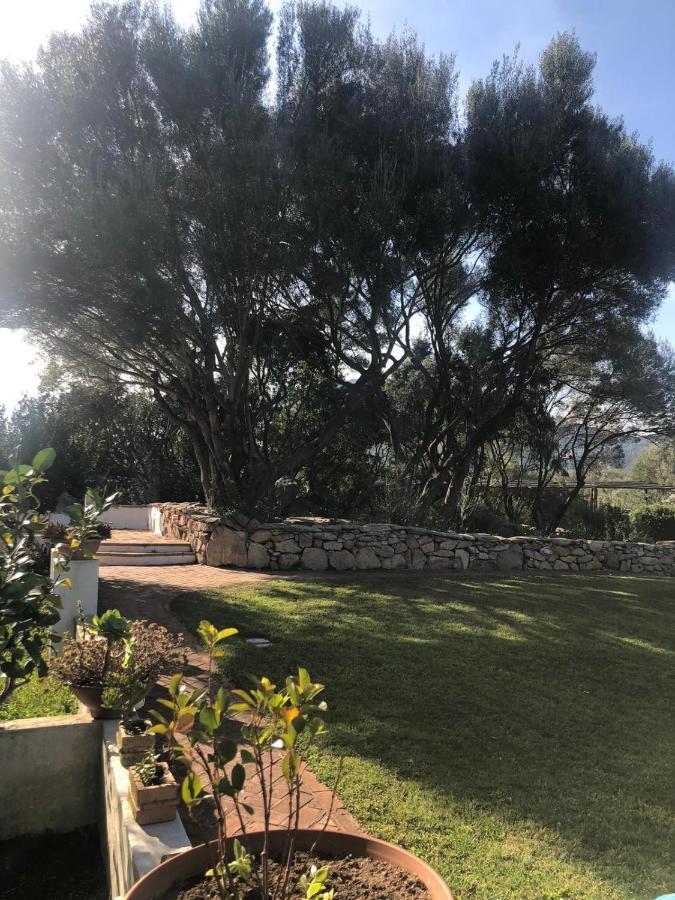 Hébergement de vacances Sardinialuxuryhouse Olbia